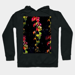 Virginia Creeper Hoodie